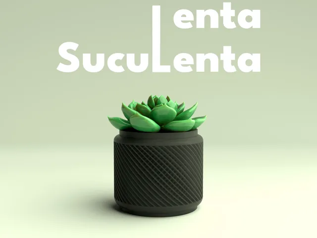 Lenta Suculenta – Succulent Planter