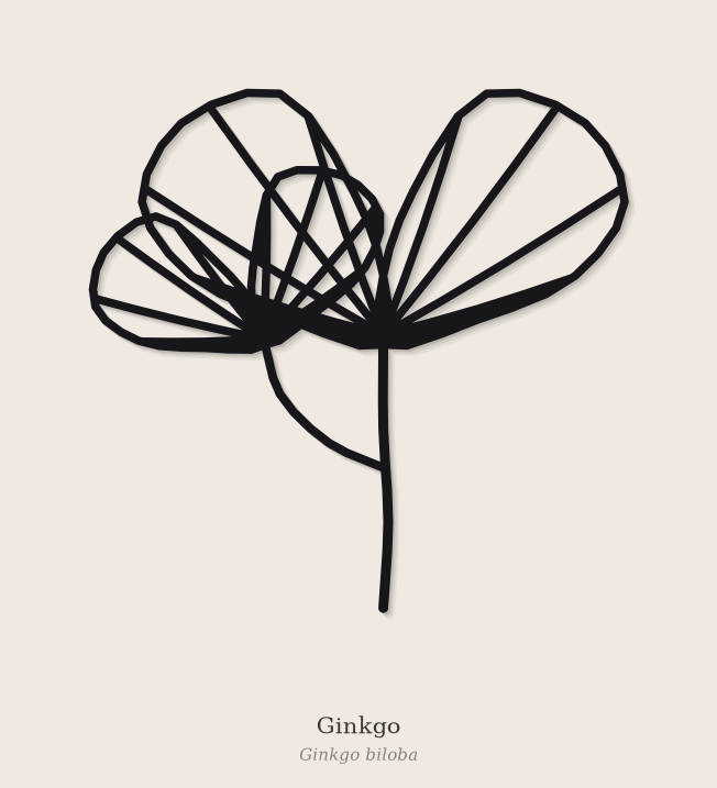 Geometric Ginkgo Wall Art | Fan Leaf Line Art | No Supports