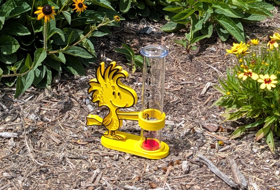 Woodstock Rain Gauge