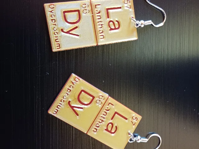 LaDy Earrings