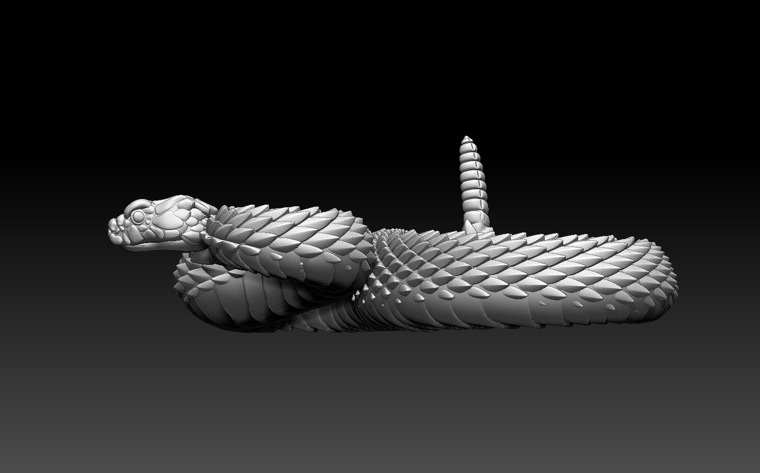 snakes — miniatura 24