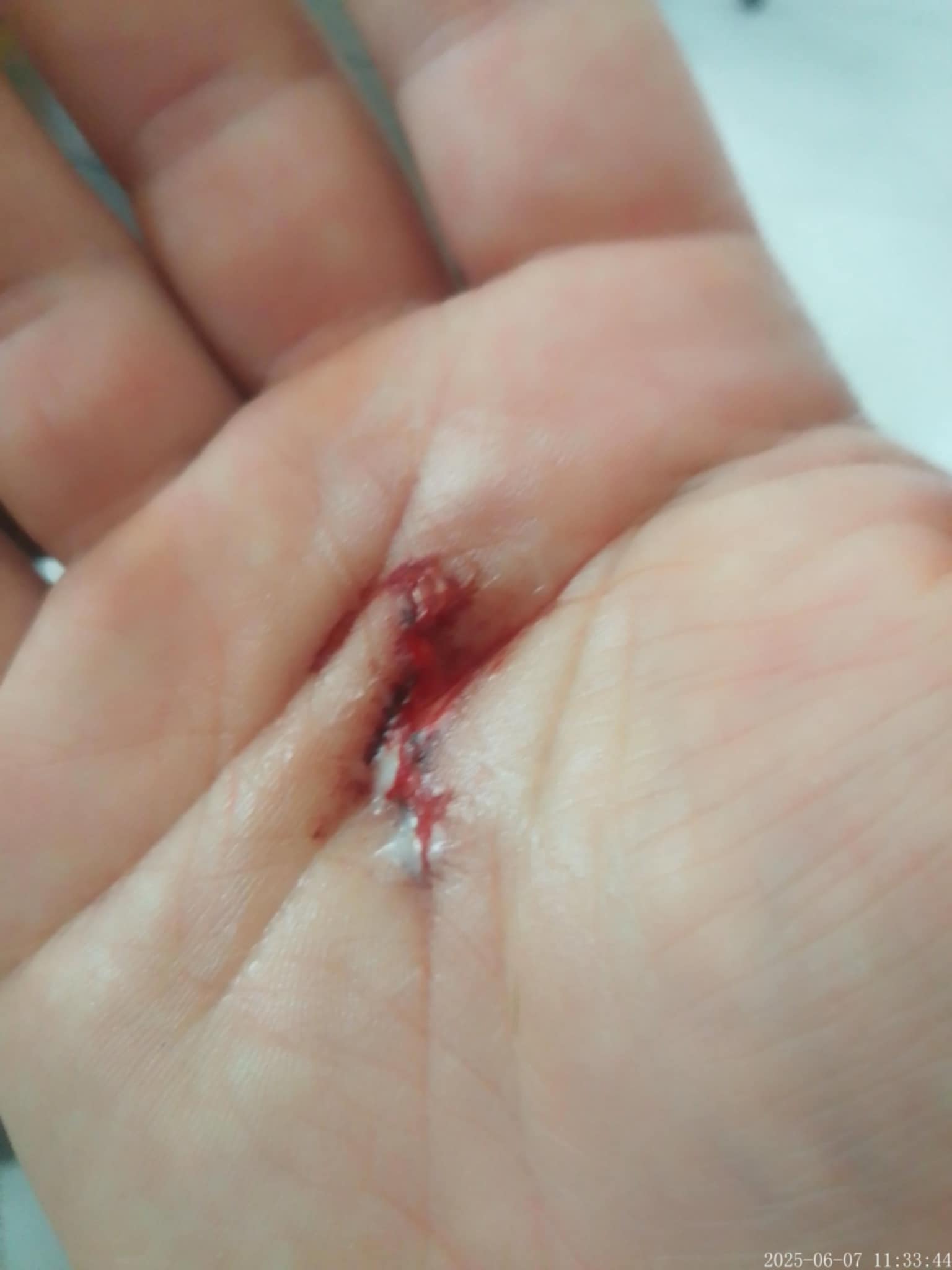 Safe Shell — thumbnail 2
