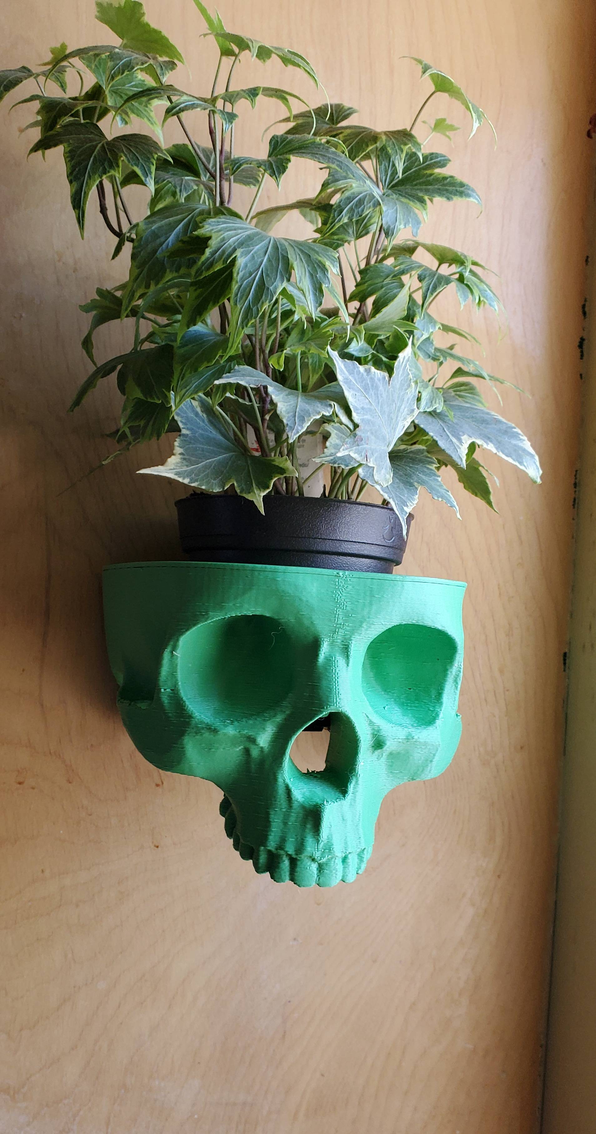 Miniatura 2 do modelo 3D Skull Planter