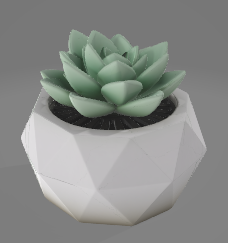 Geometric Facet Succulent Pot