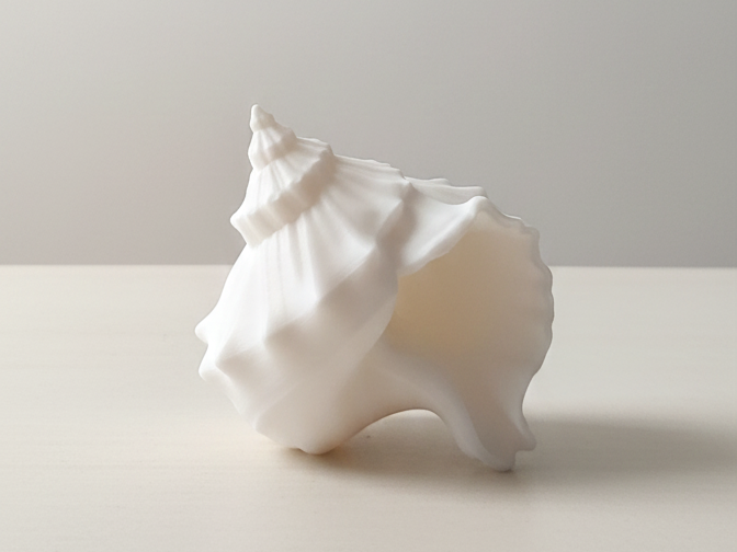 Shell Decor