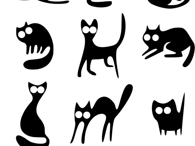Cats silhouettes (serie 12 pcs)