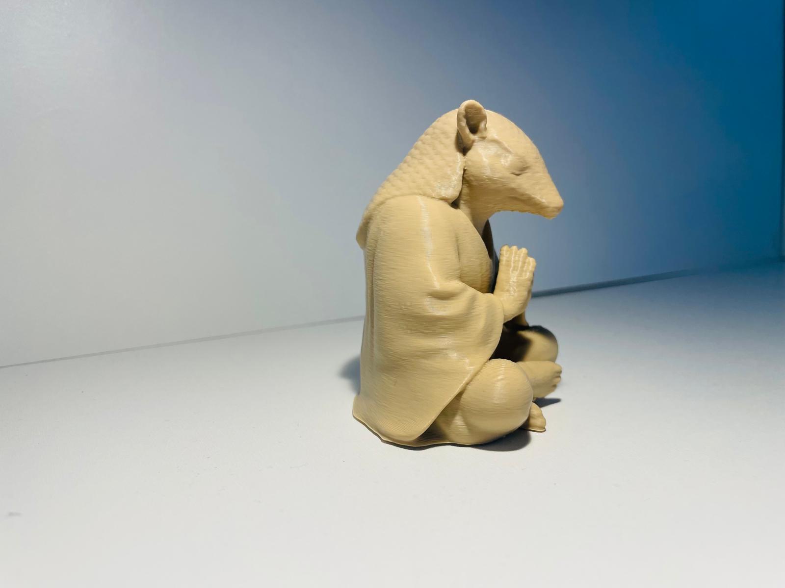 Meditating armadillo — miniatura 2