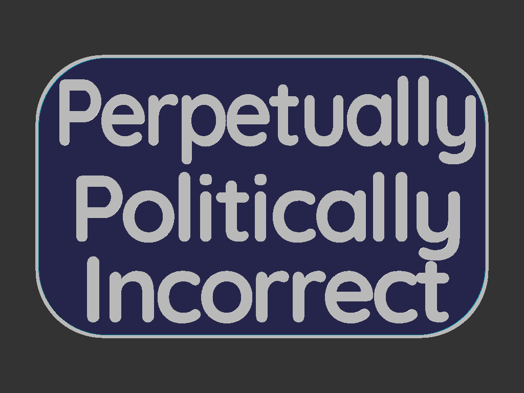 Politically Incorrect sign — thumbnail 2