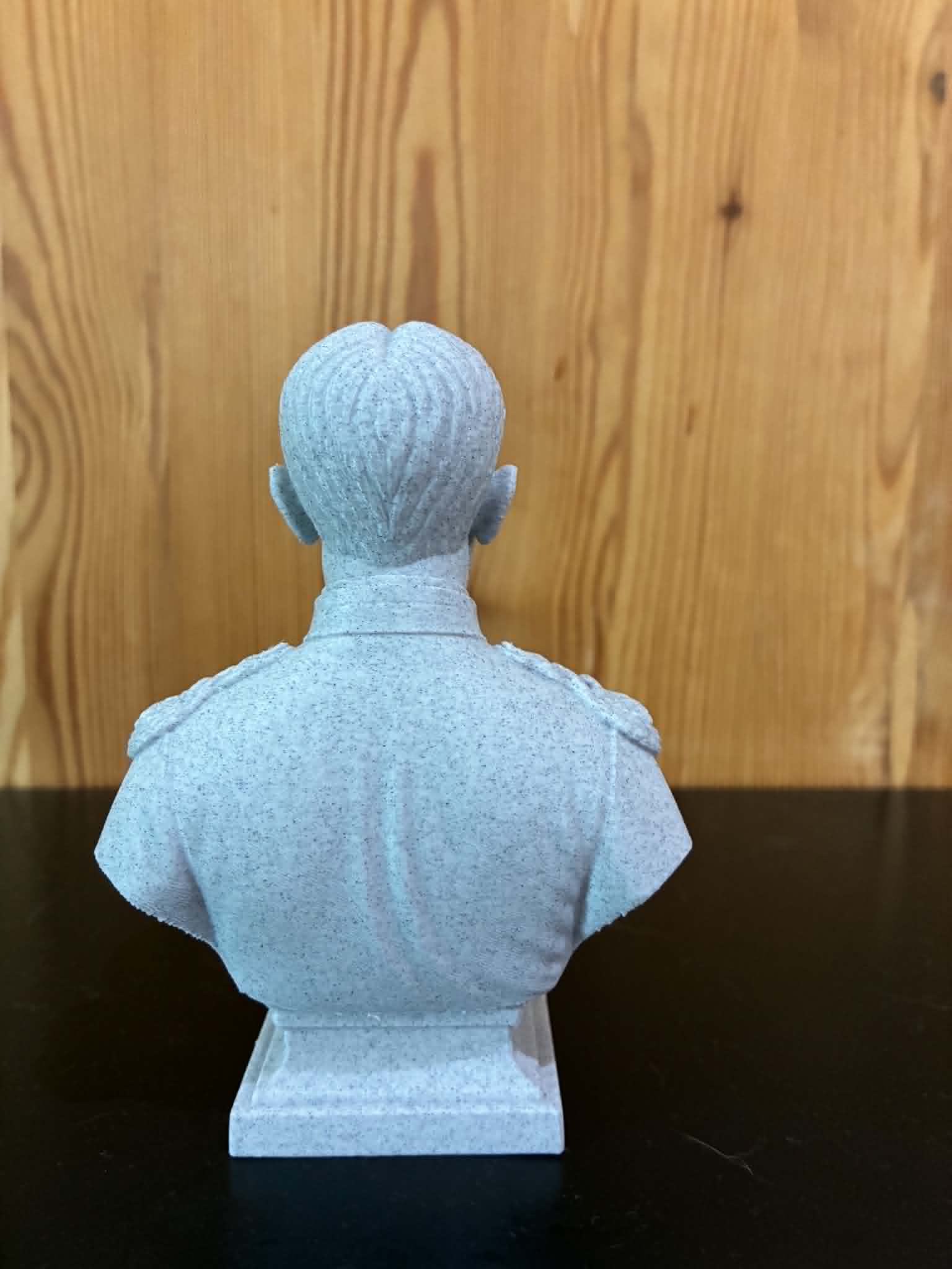 Walter Reed – Bust — miniatura 4