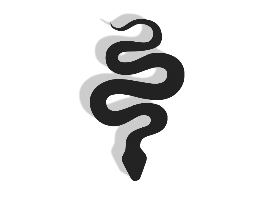 Snake Decor