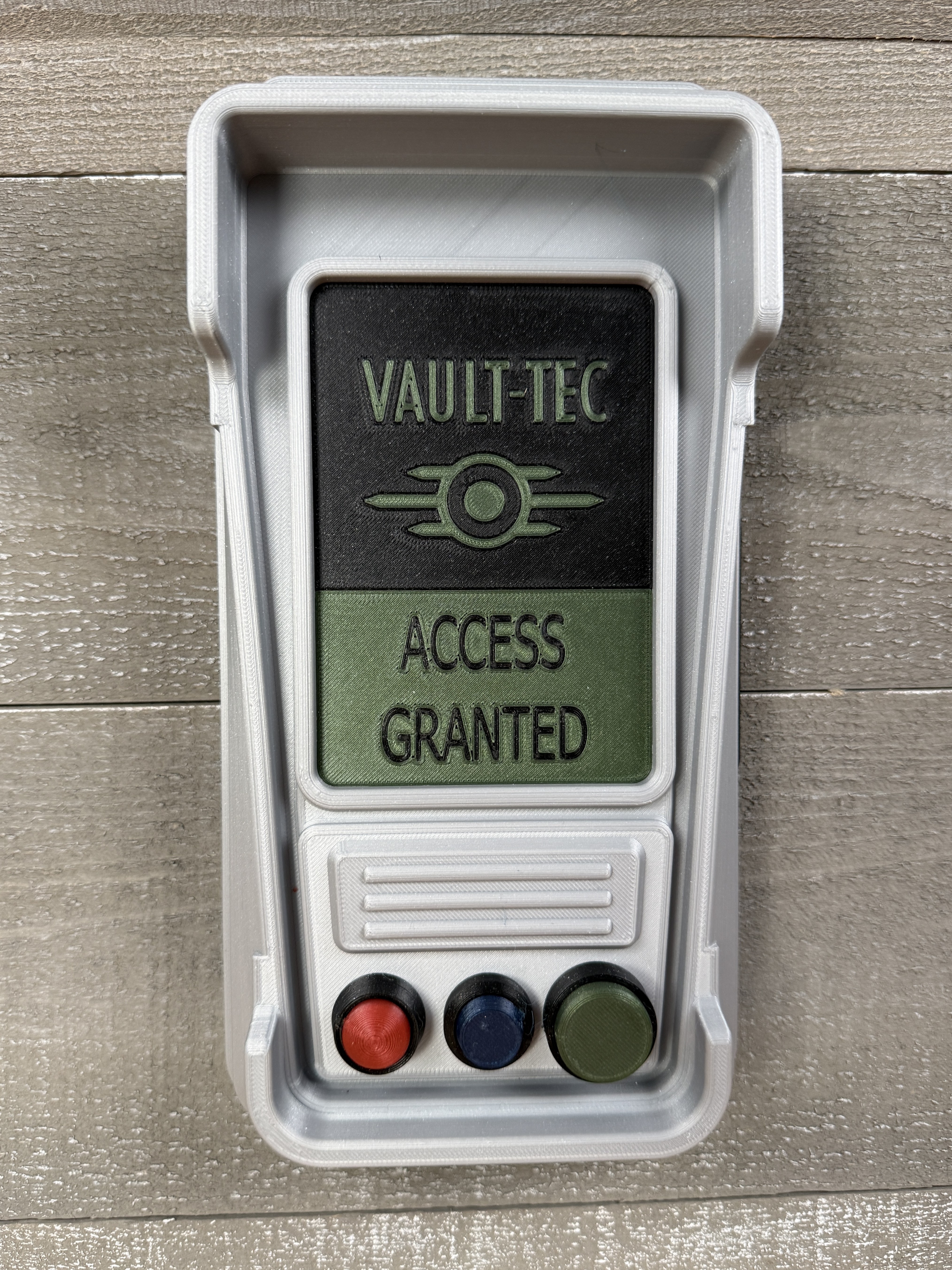 Fallout Access Granted Panel