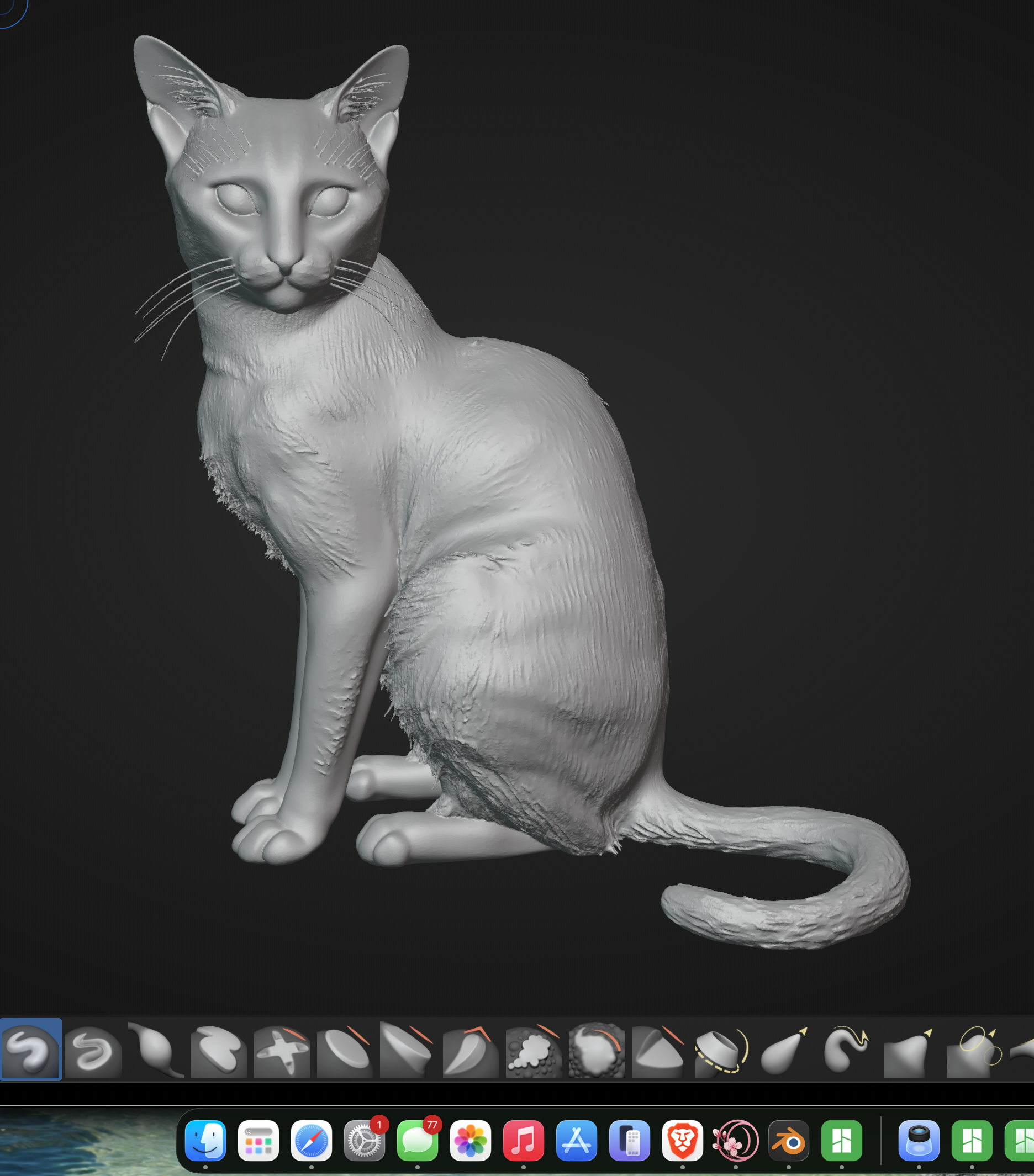 mr cat