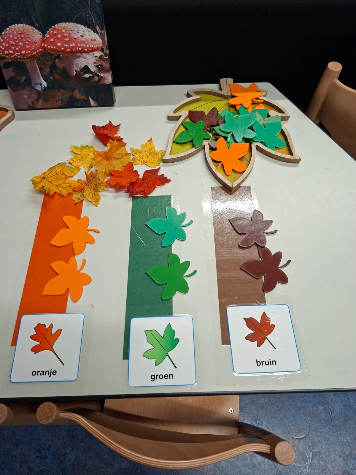 Autumn leaves — miniatura 3