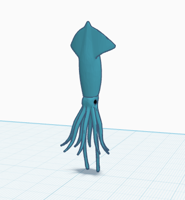 squid