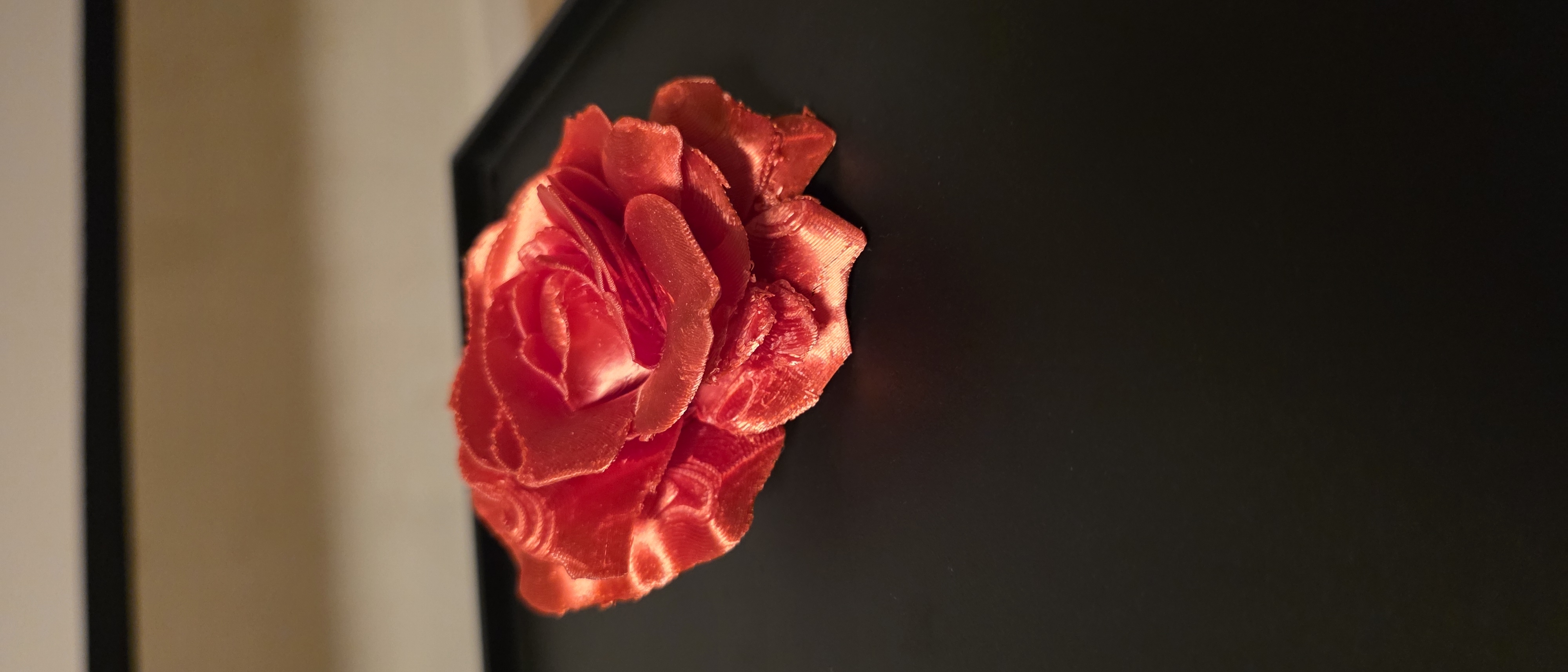 Abracadabra Rose — miniatura 2