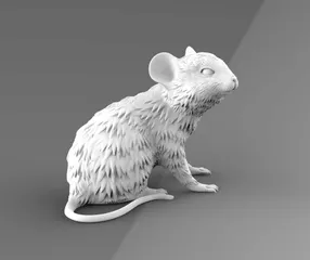 mouse