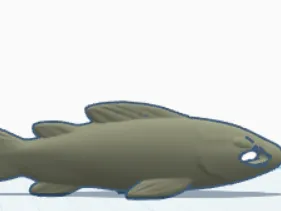 fish