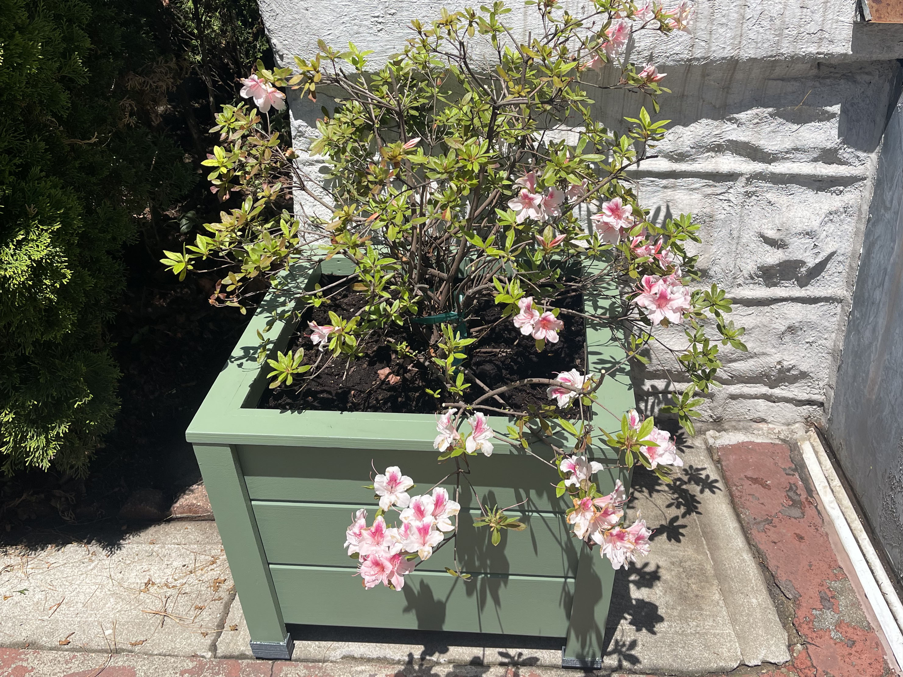Tapered Square Flower Pot