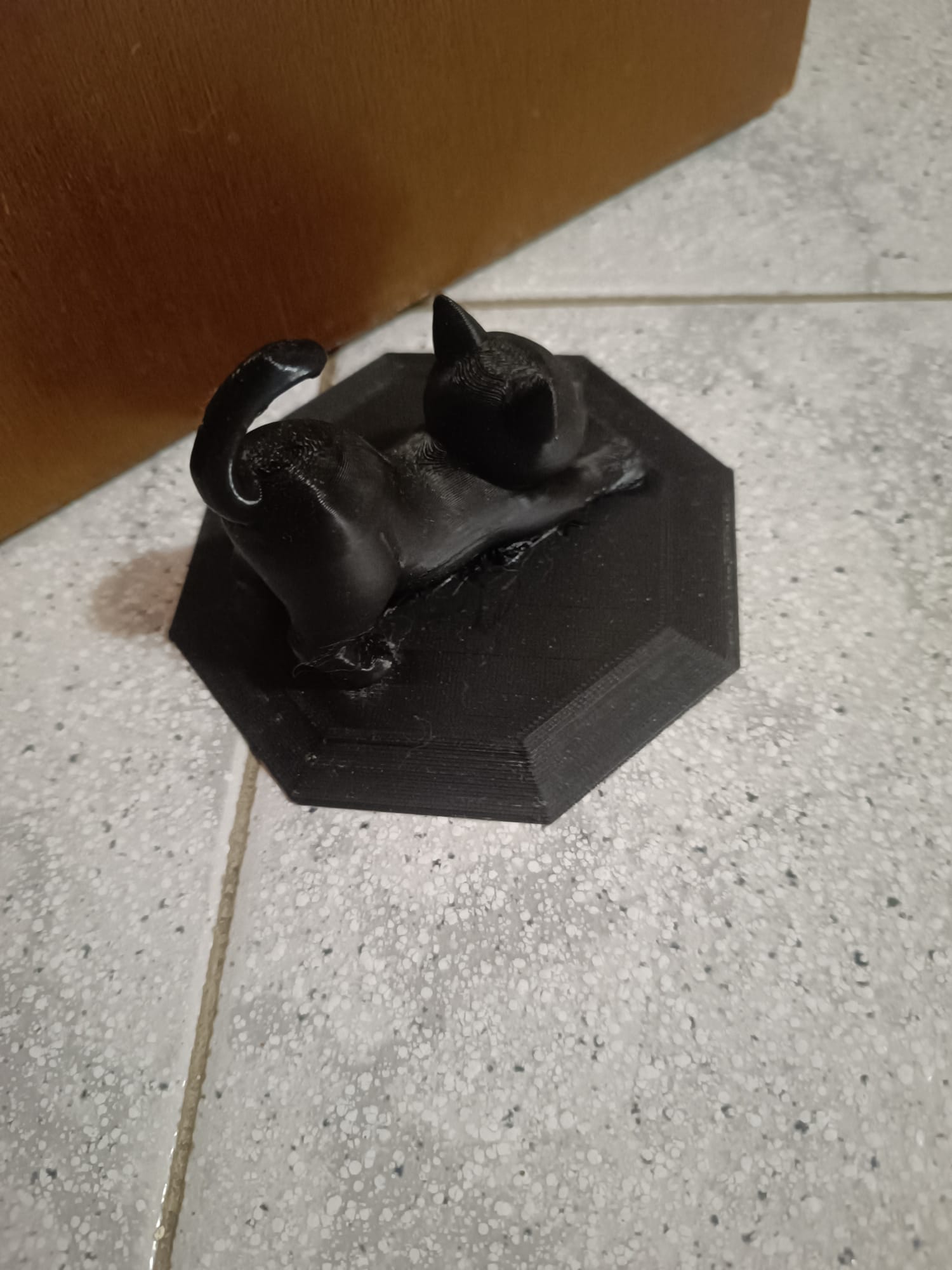 Omnidirectional cat doorholder