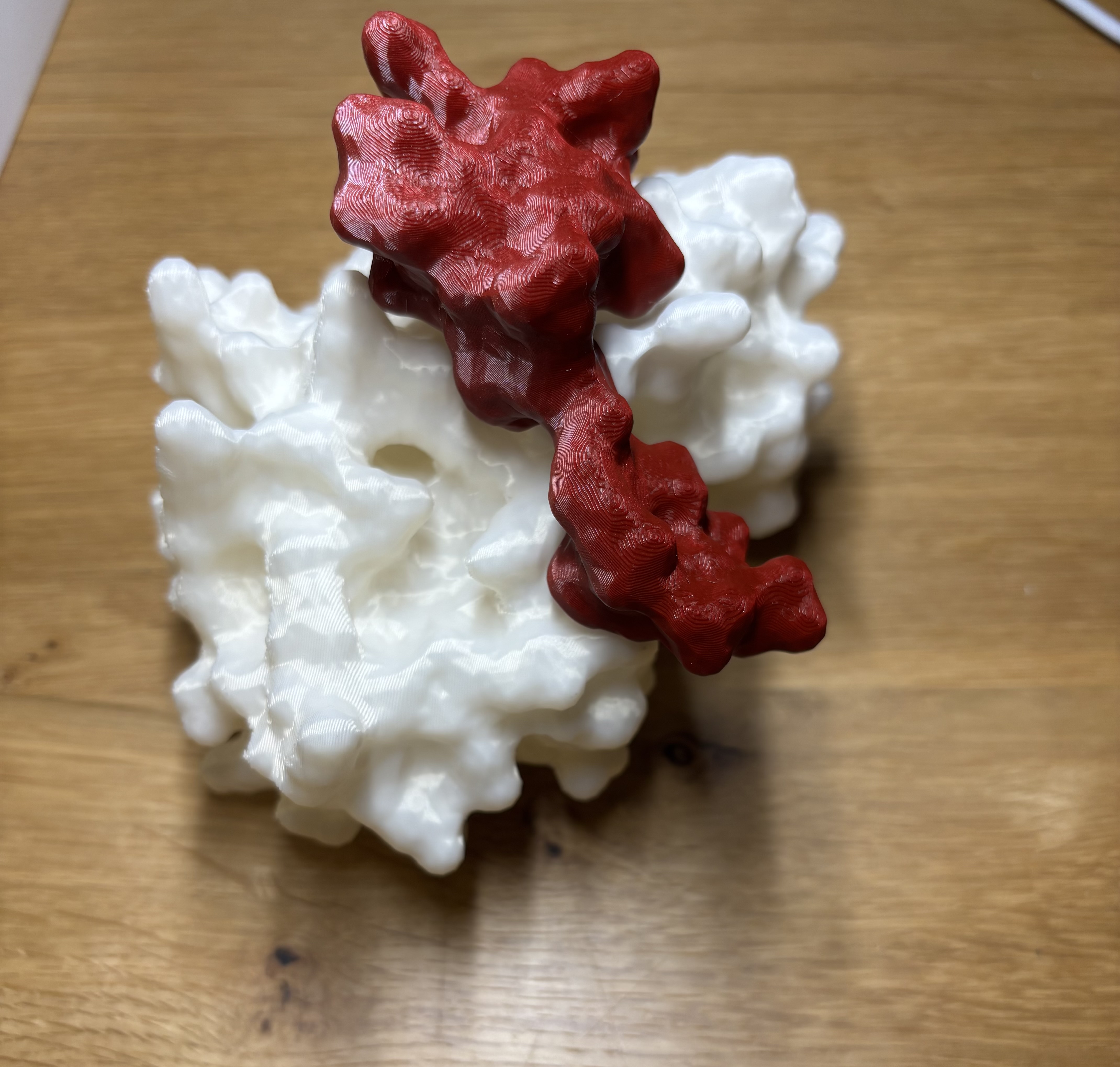 Printable protein complex