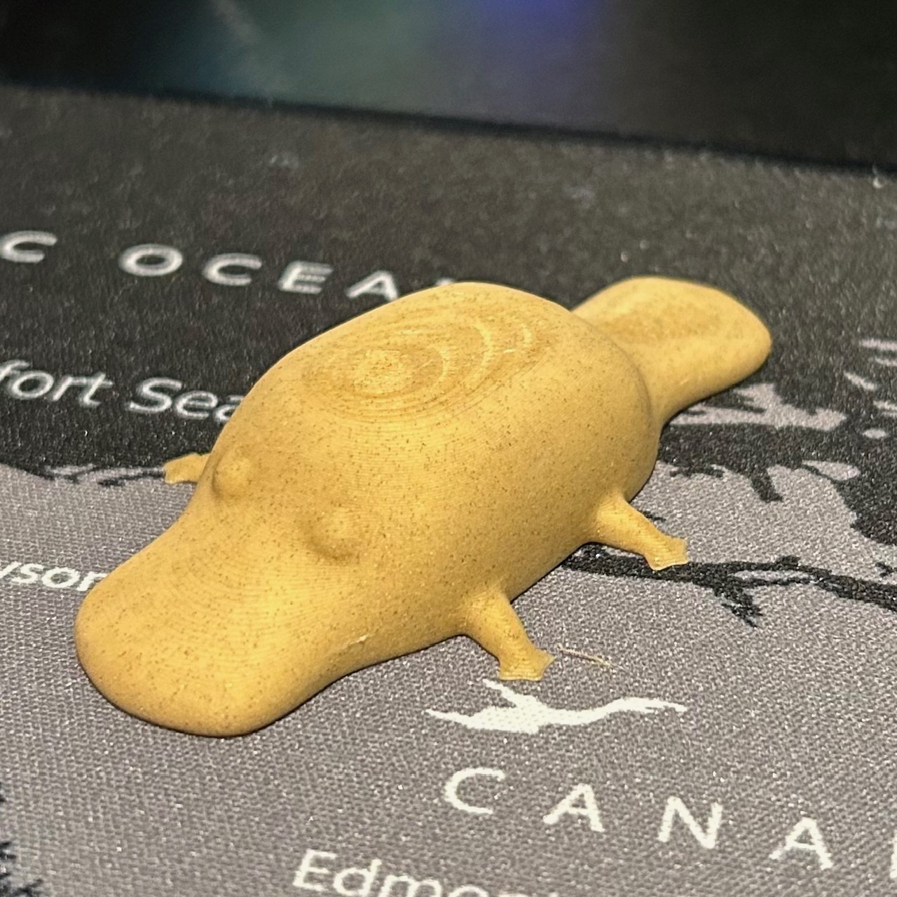 Chubby Platypus — miniatura 2