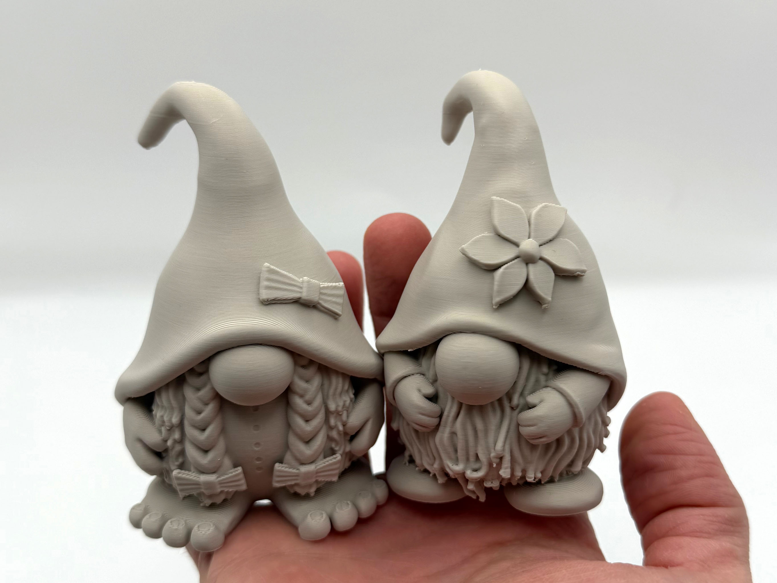 Cute Gnomes Couple