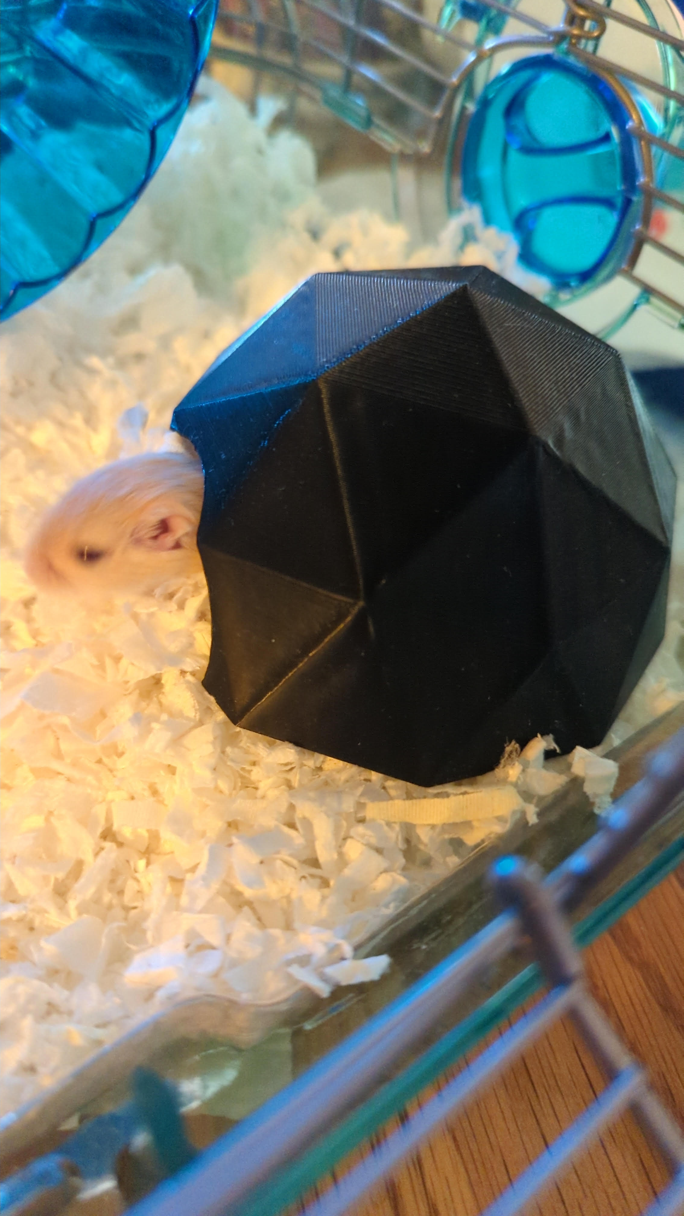 Gerbil Garage