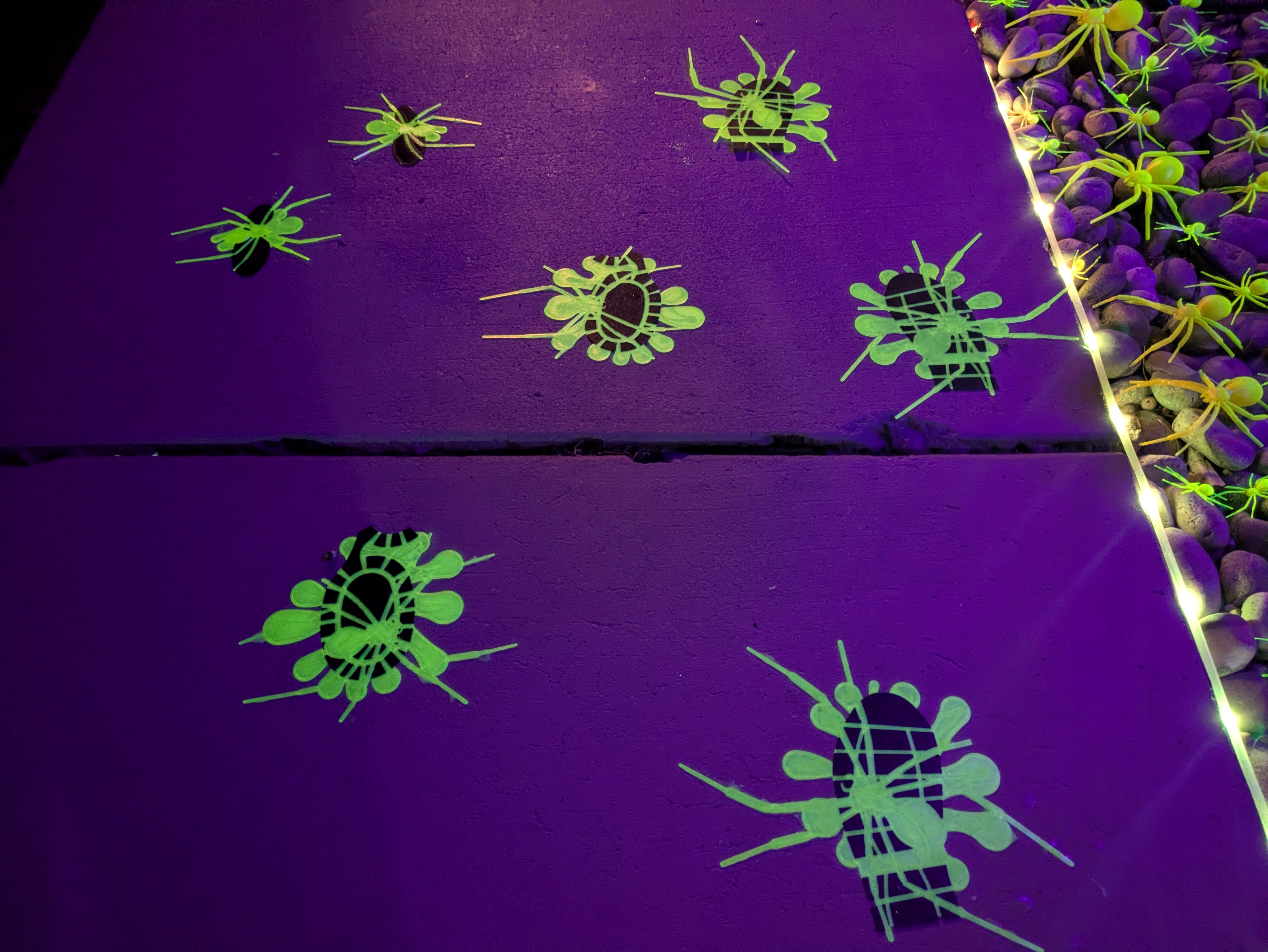 Squished Spiders