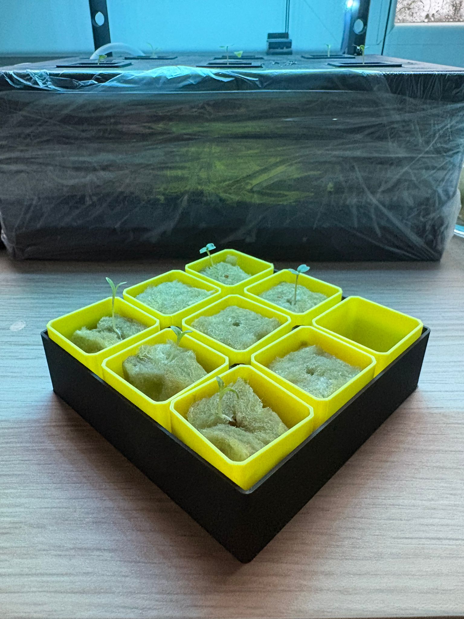 Mini Seedling Starter – Fully Customizable