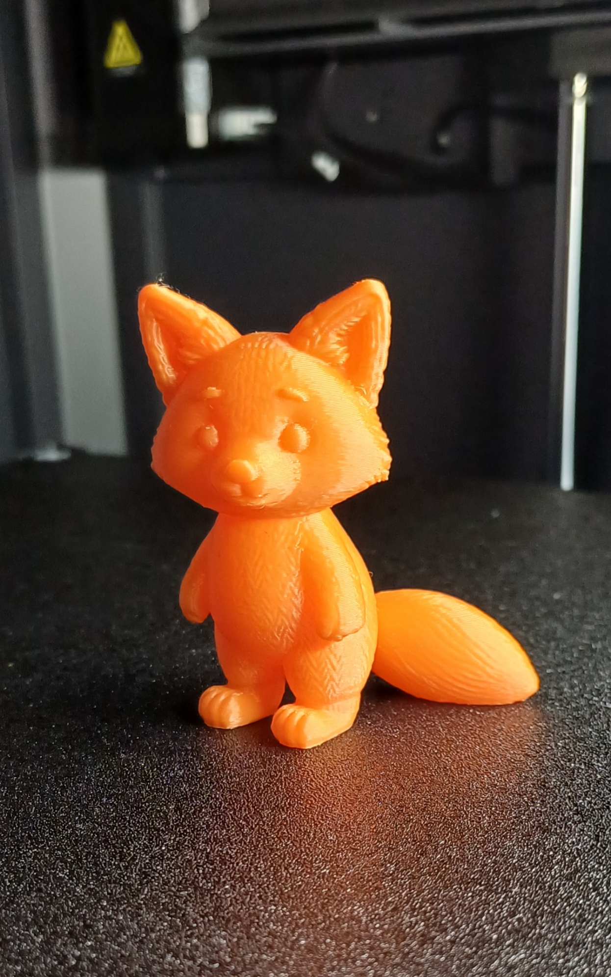 Textured fox, Renard texturé