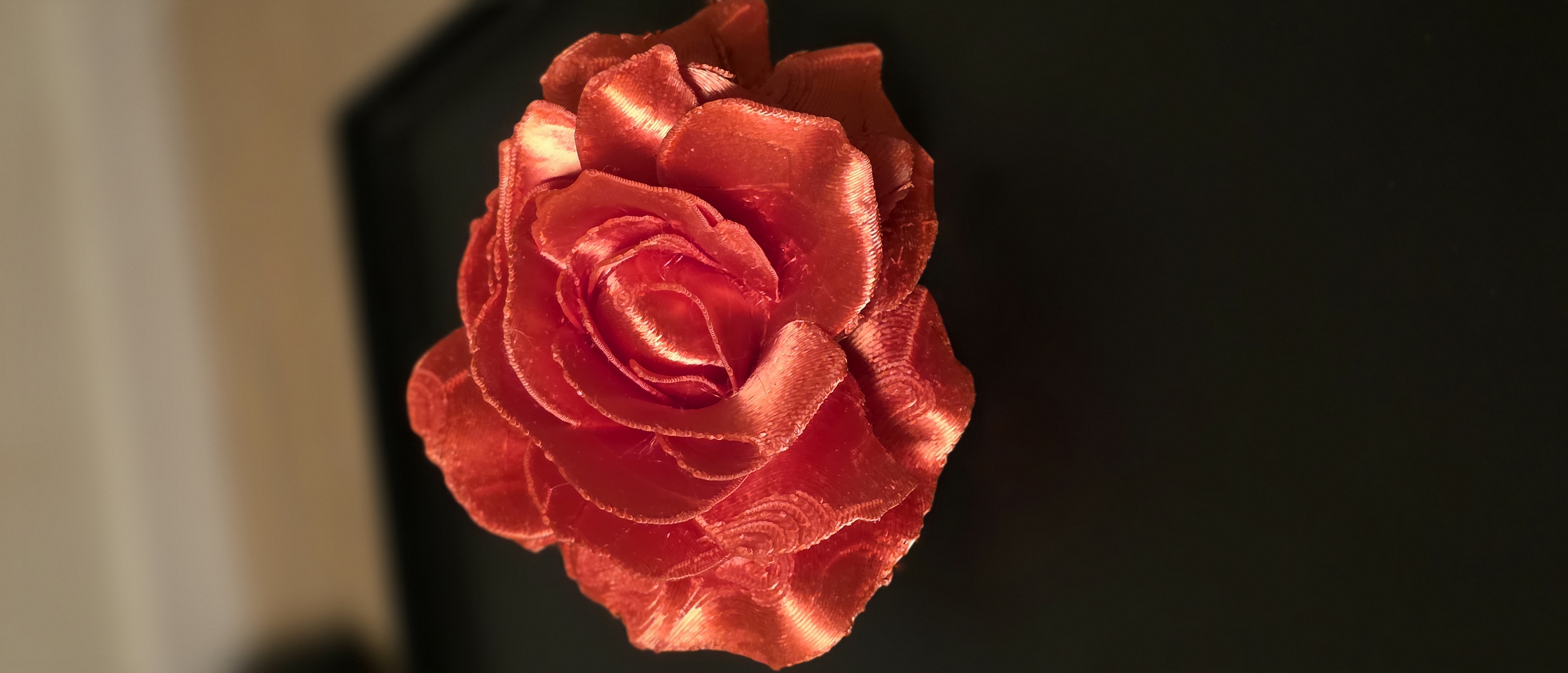 Abracadabra Rose — miniatura 3
