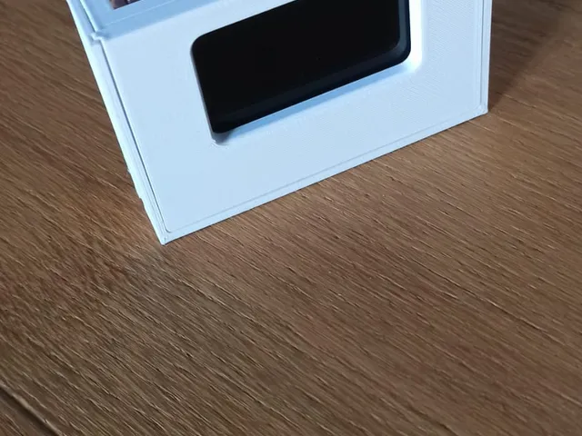 basic protective case for FiiO Snowsky Echo Mini