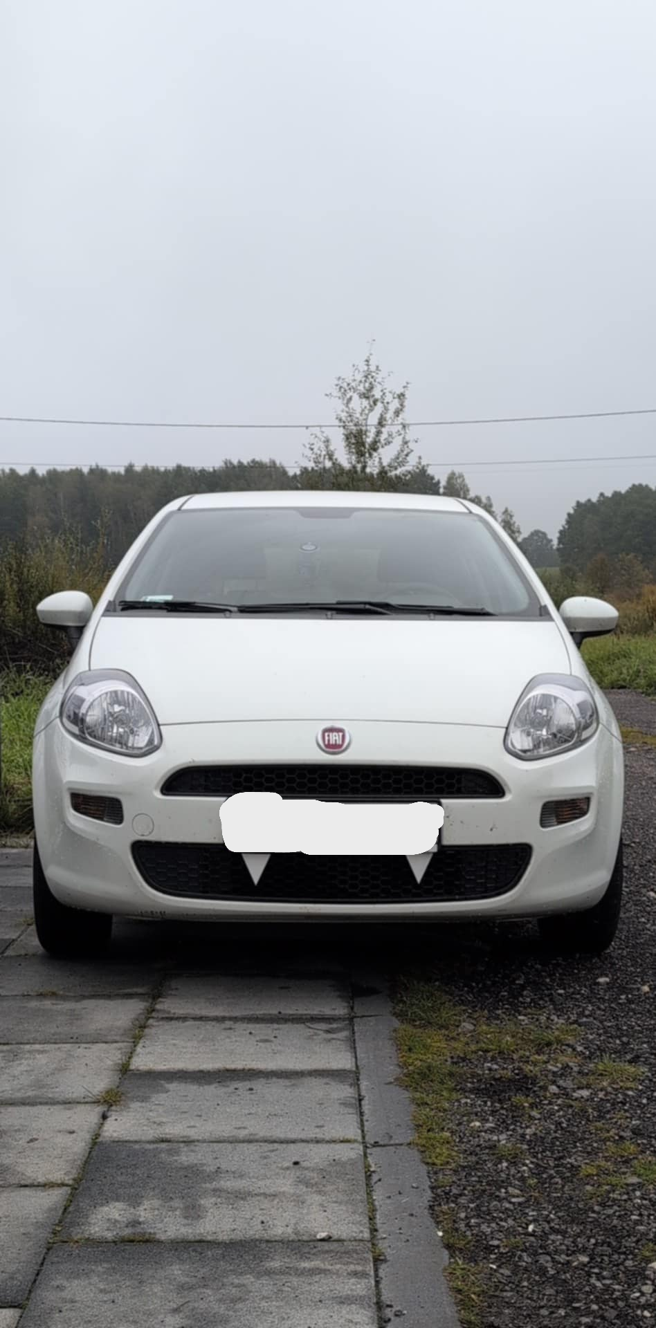 Fiat Punto Vampire Teeth
