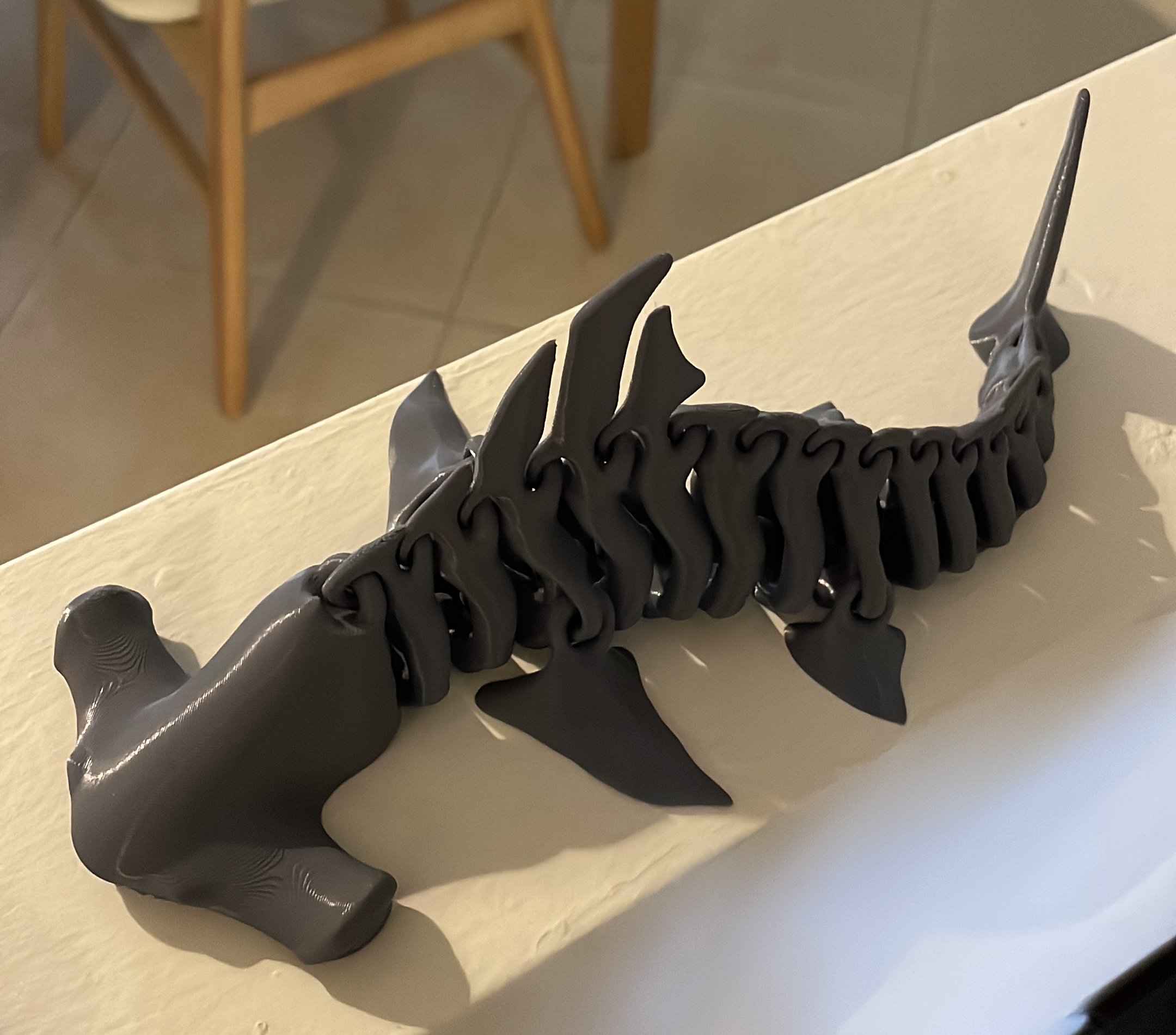 Hammerhead Shark Skeleton