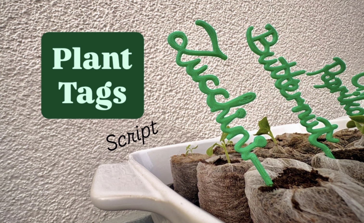 Vertical Plant Tags in Handwriting Script for 13 Plants