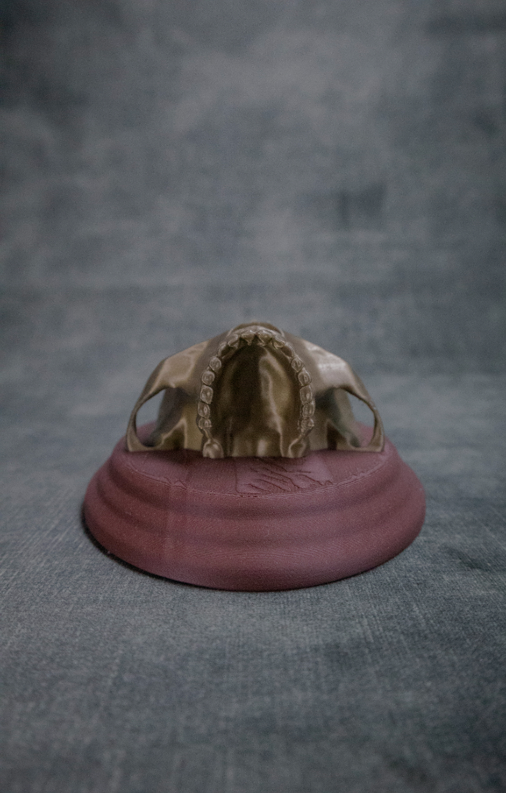 Skull Sconce (Pre Supported) — miniatura 5