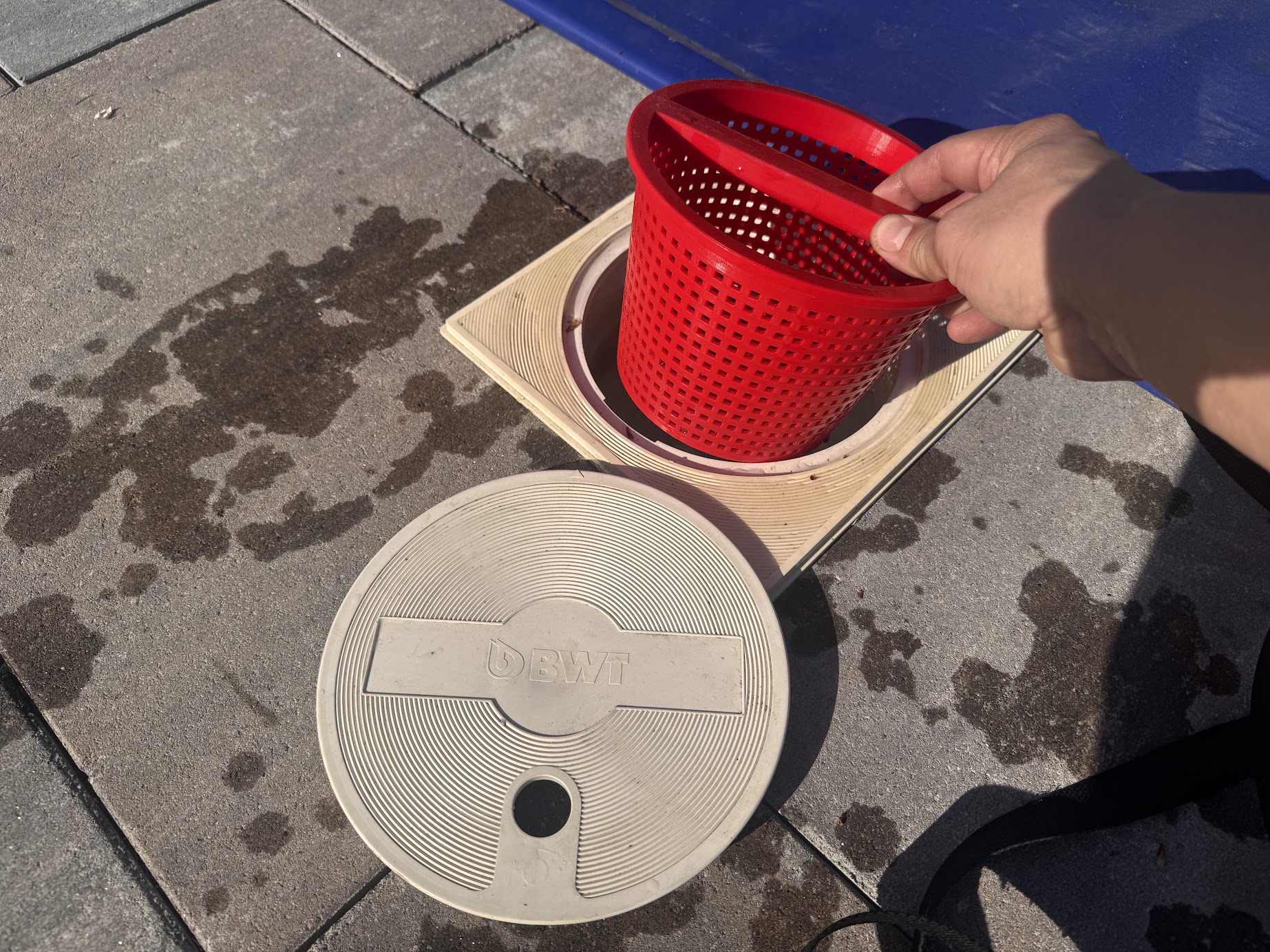 Basket for BWT pool skimmer