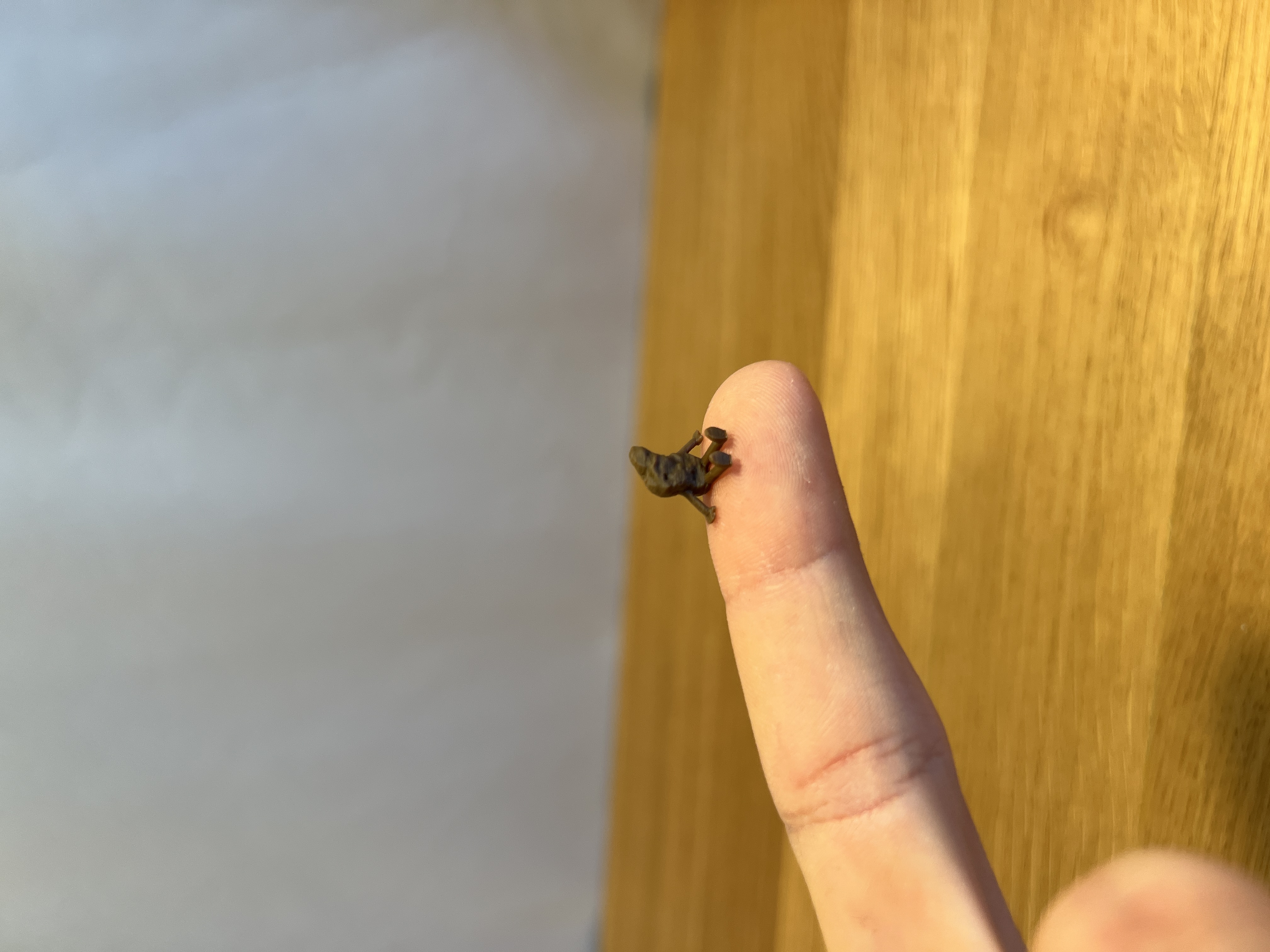 Mini Chicken Nugget Buddy — miniatura 4