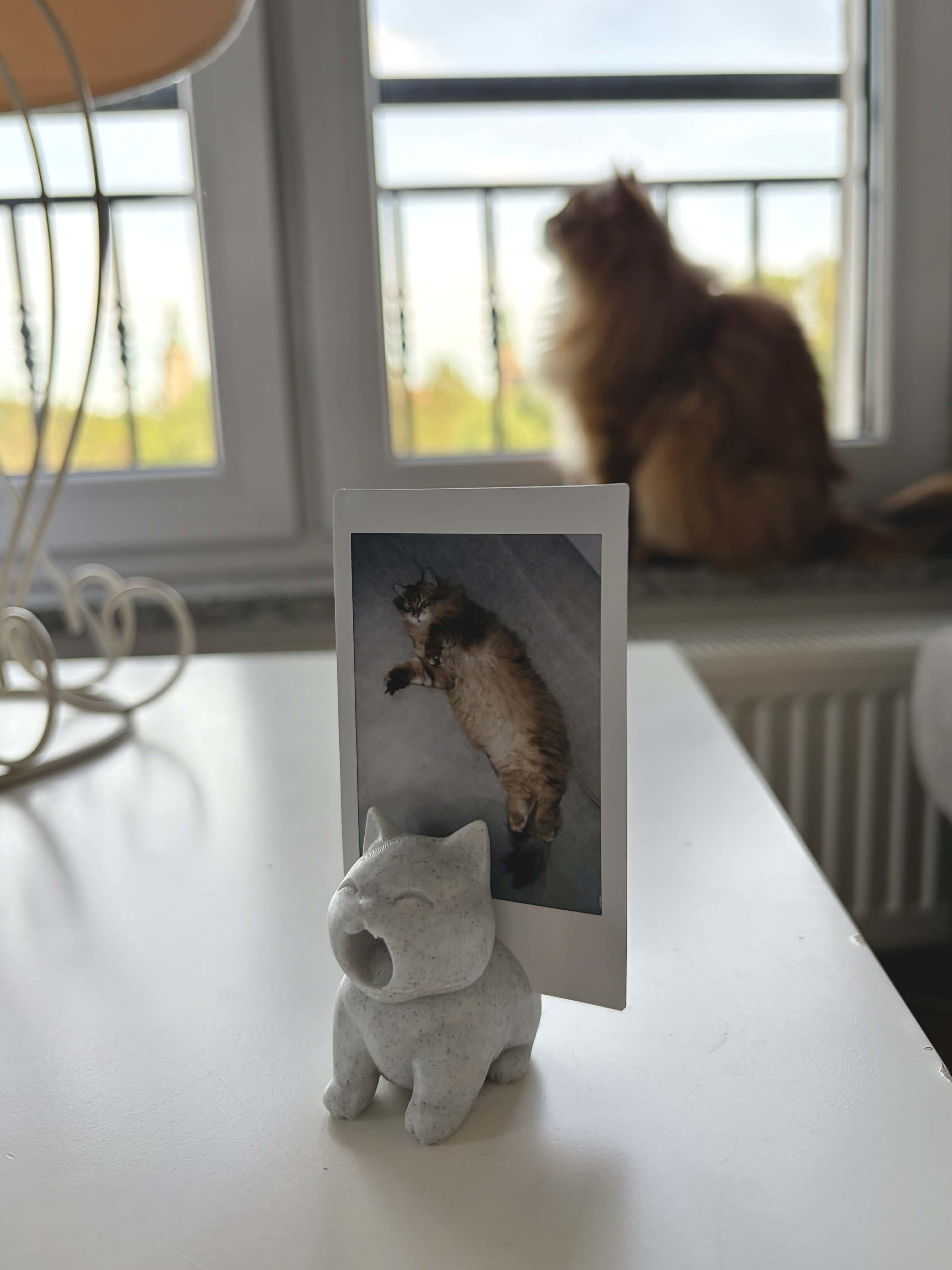 Yawning cat photo holder