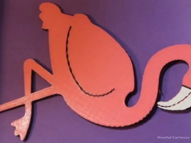 Flamingo