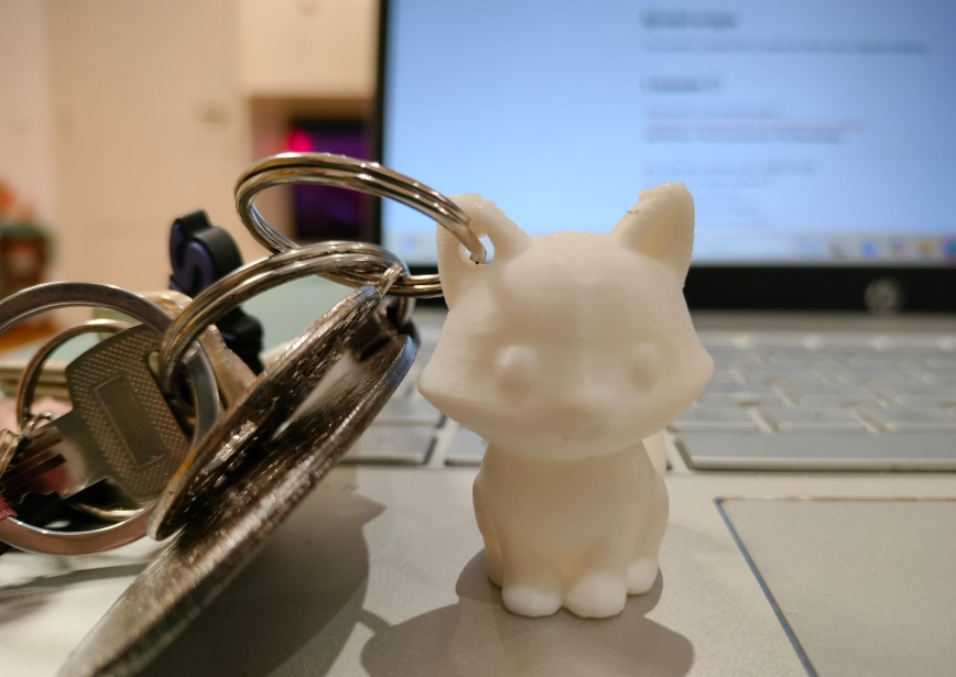 Minimalist Pocket Cat - Easy Supportless Keychain (Perfect Gift) v1