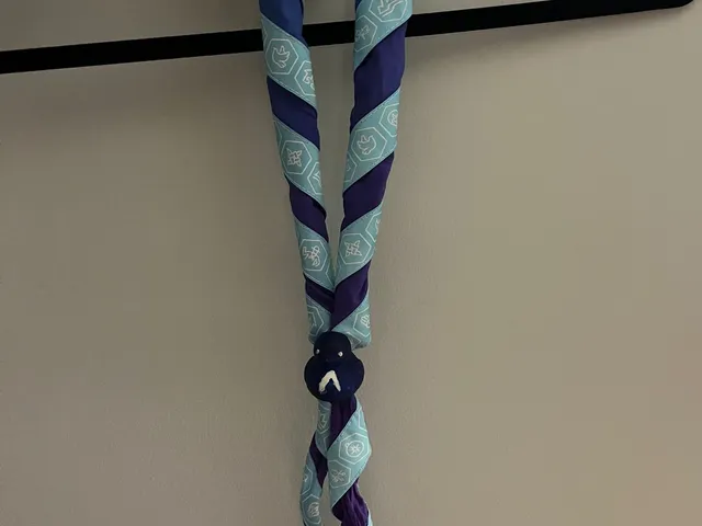 duck_scout_scarfs_holder