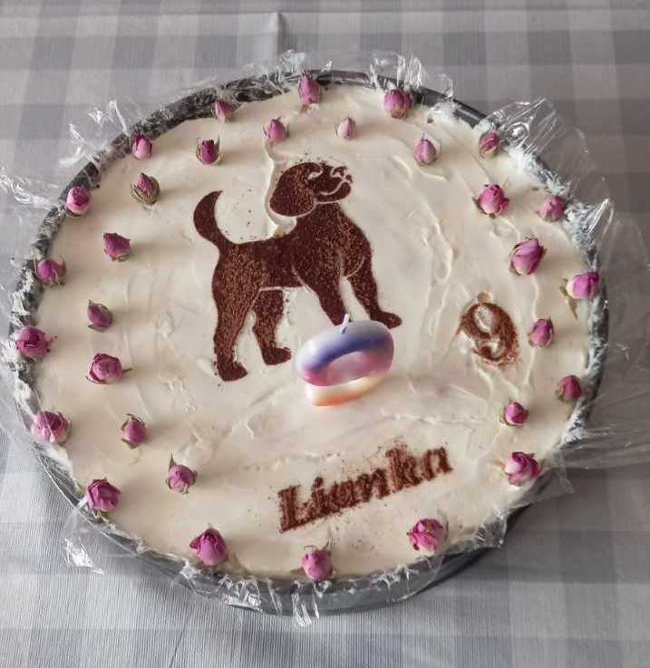 Model of dog for cake / Maketa psa na tortu