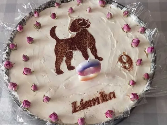 Model of dog for cake / Maketa psa na tortu