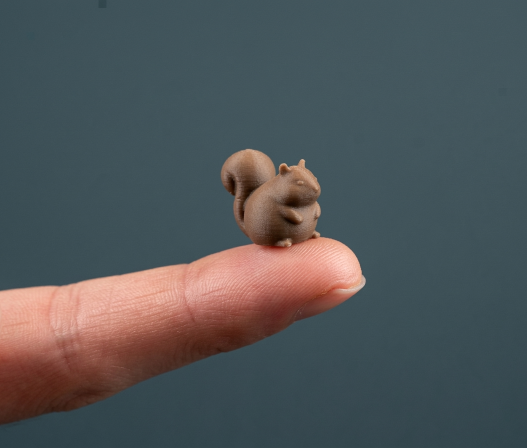 Mini Chubby Squirrel Buddy