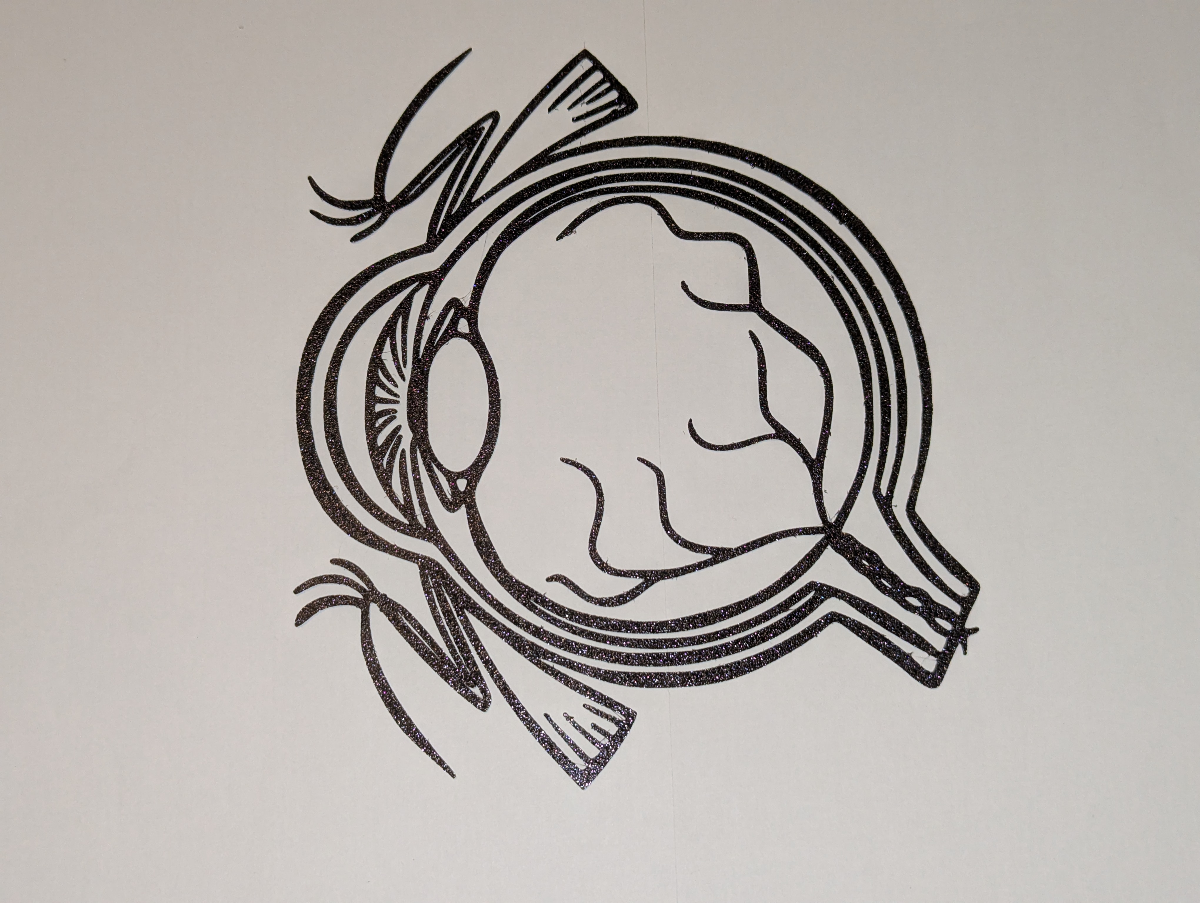 Human Eye Outline Model / Wall Art