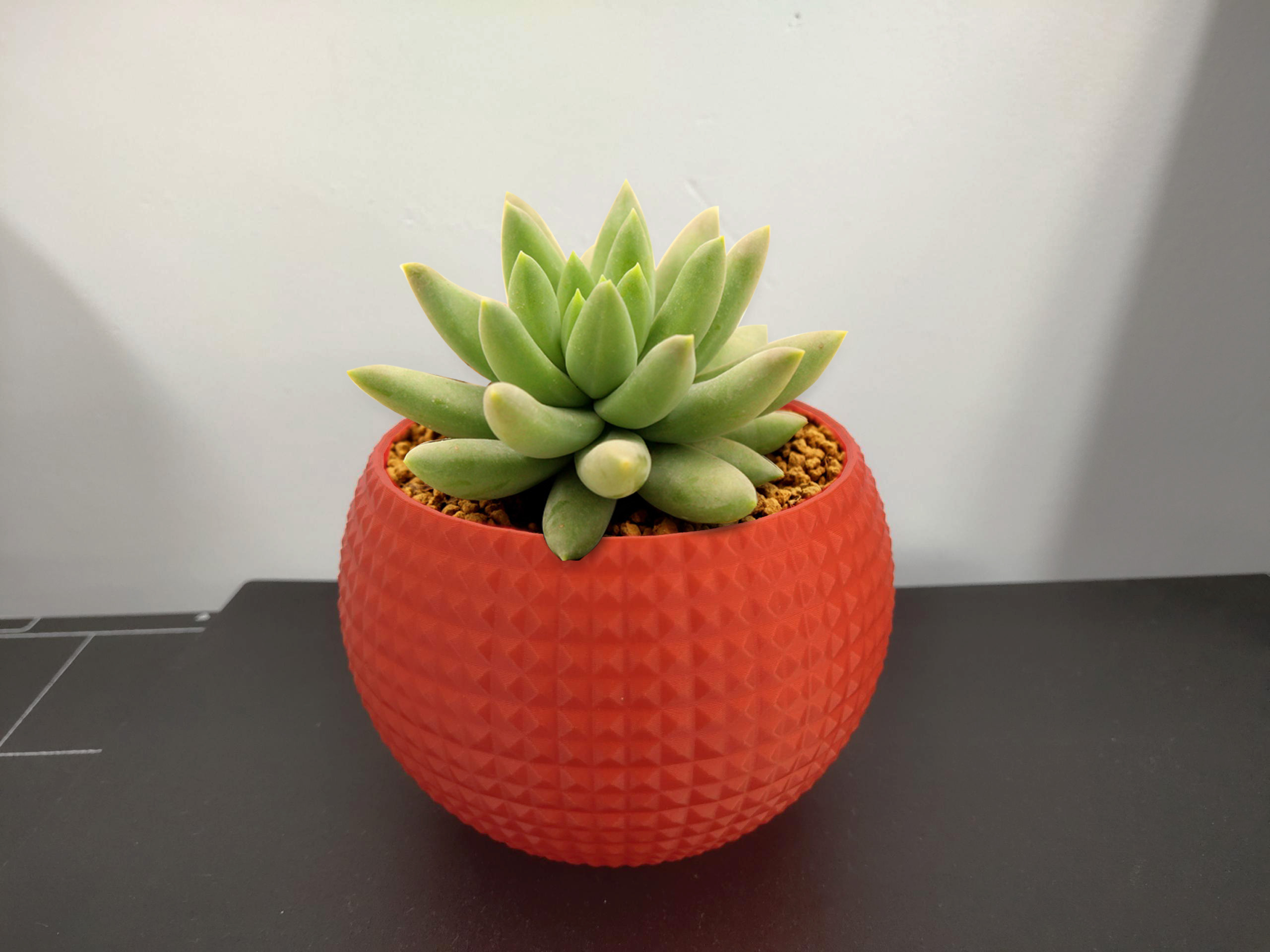 Flower pot for mini plants.