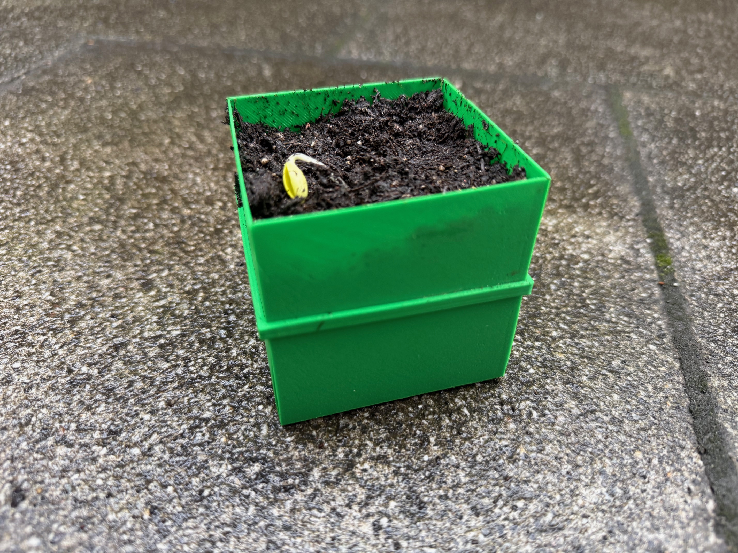 Foldable seedling pot - No Root Damage! — miniatura 4