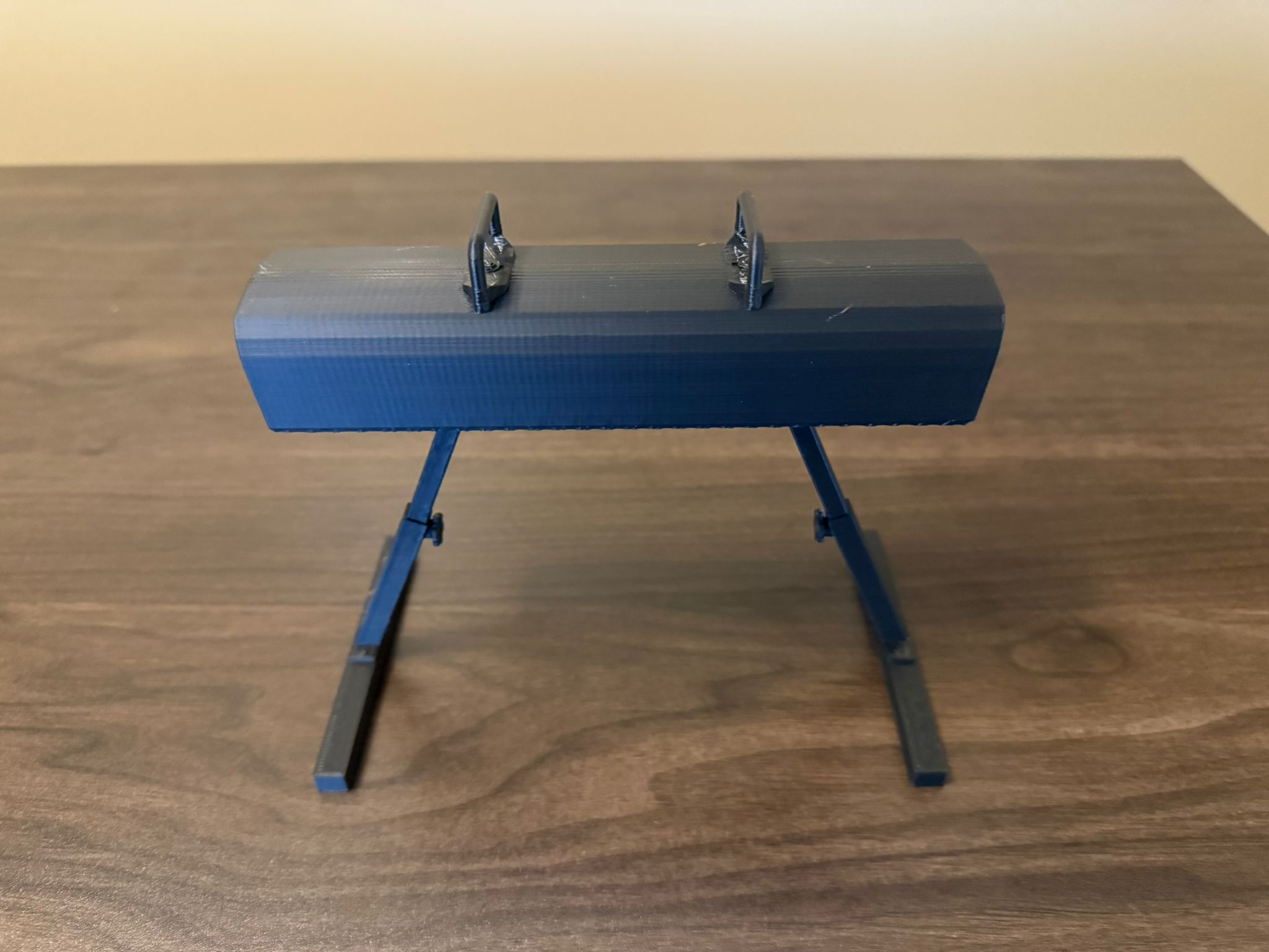 Gymnastics Pommel Horse