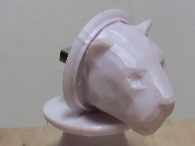 USB FLASH DRIVE ENCLOSURE COVER